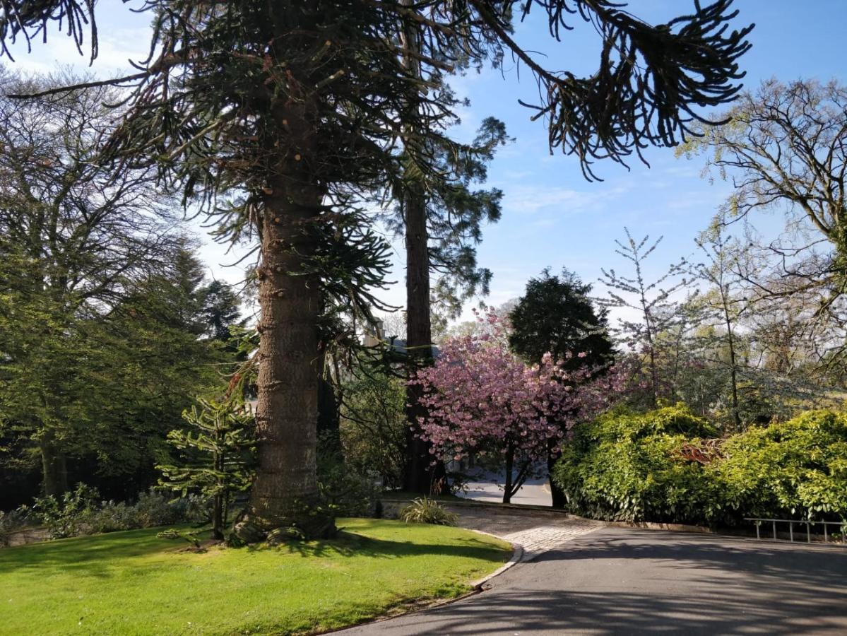 Banoge House Hotel Donaghcloney Exterior photo